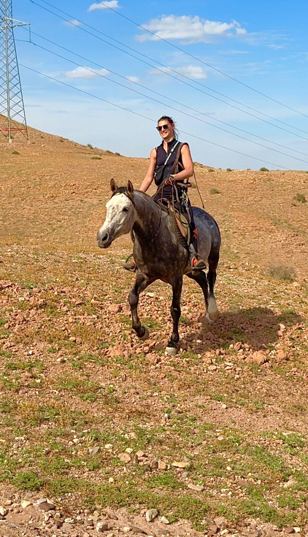 Horse Rides in the Stone Desert