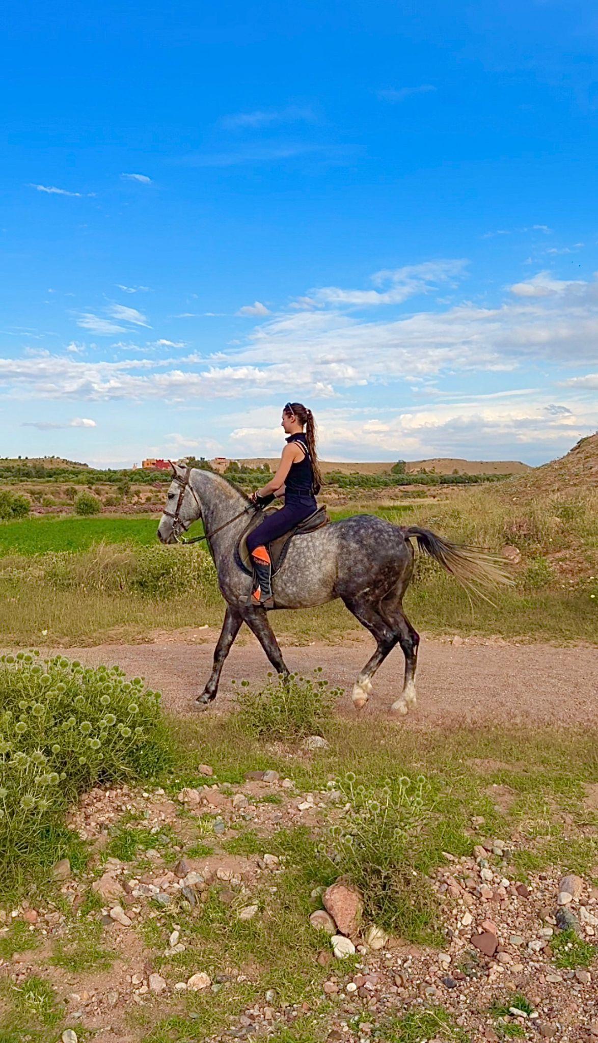 Horse Rides in the Stone Desert — gallery 1