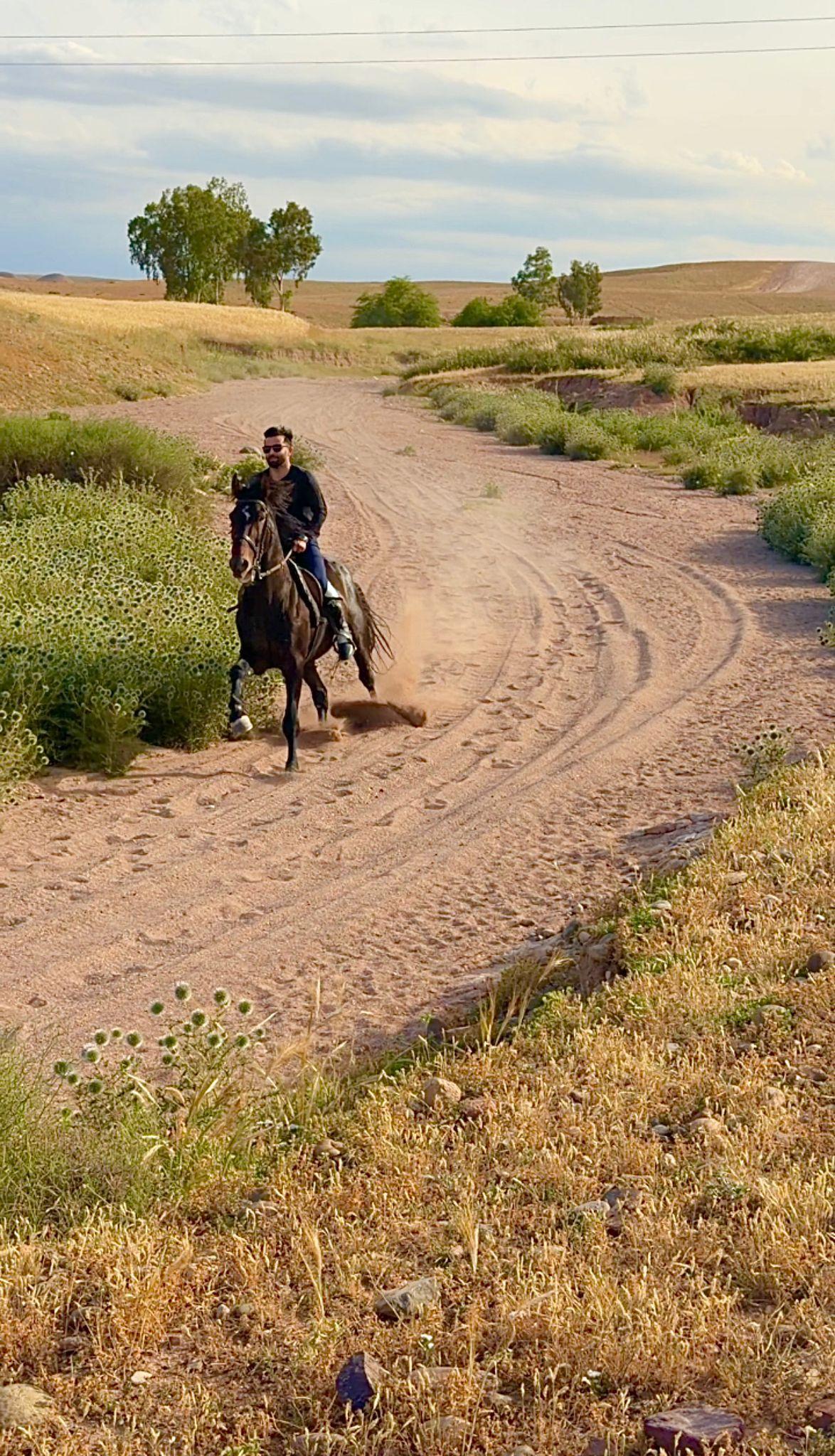 Horse Rides in the Stone Desert — gallery 3