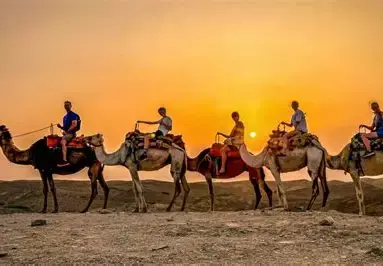 Quad and Camel Adventures
